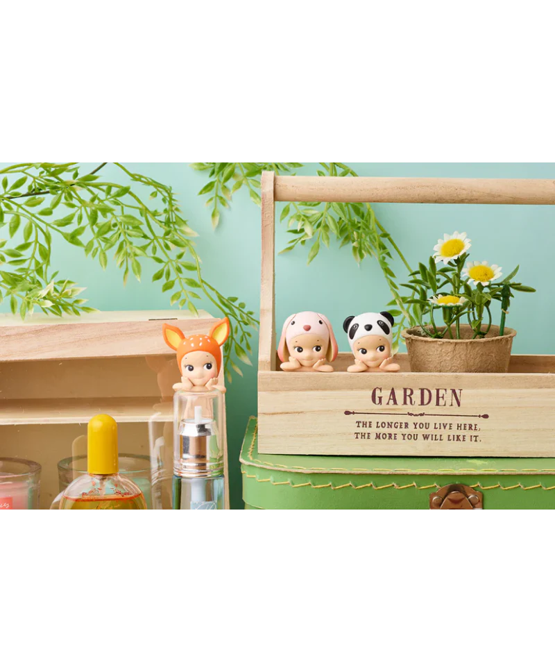 Miniatuur 5